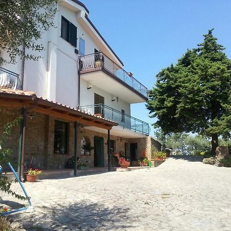 Bed&Breakfast Villa Flora Eredita Esterno foto