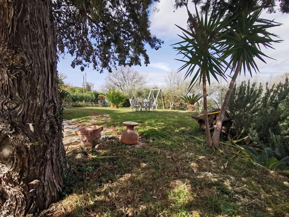 Bed&Breakfast Villa Flora Eredita Esterno foto